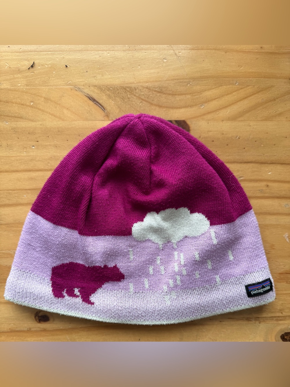 Patagonia kids beanie